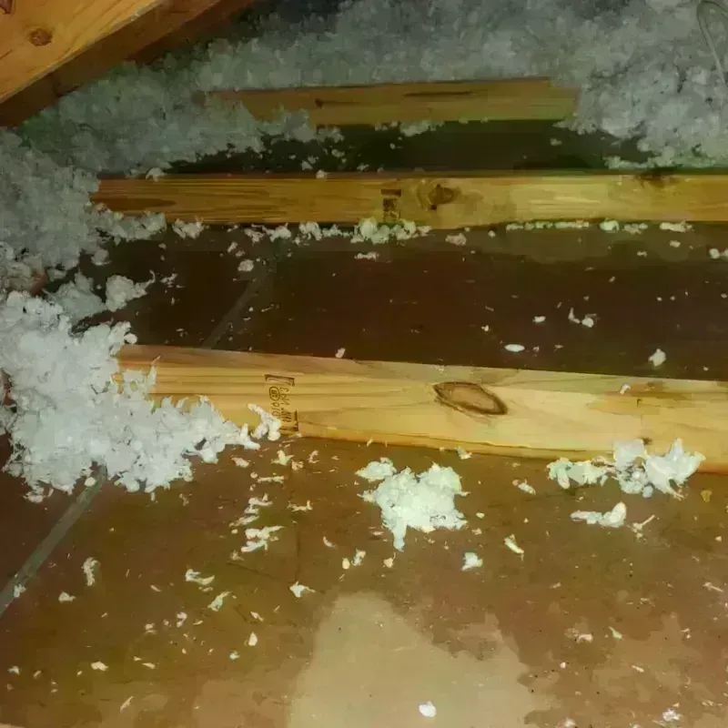 Attic Water Damage in Moscow, PA