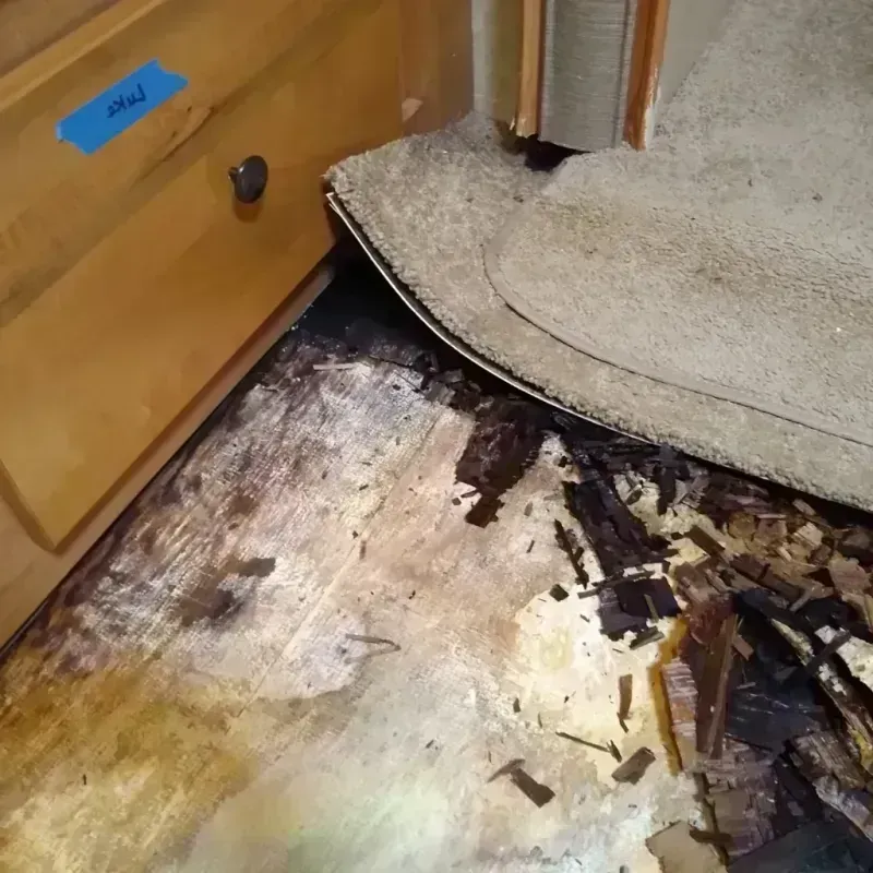 Best Wood Floor Water Damage Service in Moscow, PA